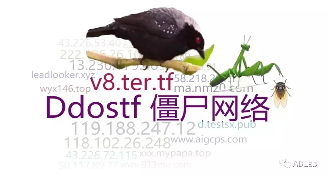 ��������(�й���)���¹ٷ���վ