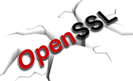 OpenSSL�䲼��ȫ������������Ʒ�е�2����ȫ��϶.png