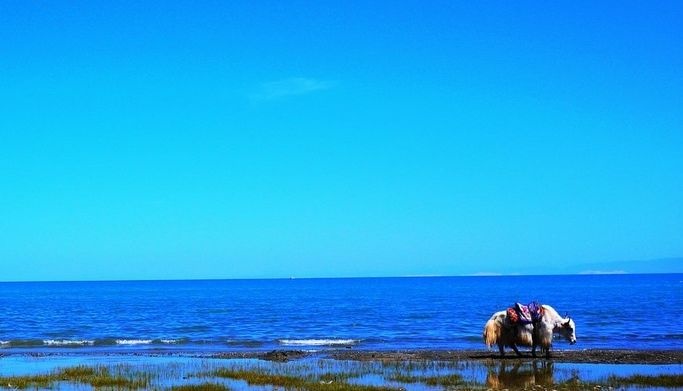 ��������(�й���)���¹ٷ���վ