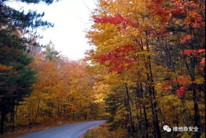 ��������(�й���)���¹ٷ���վ