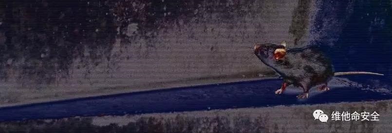 ��������(�й���)���¹ٷ���վ